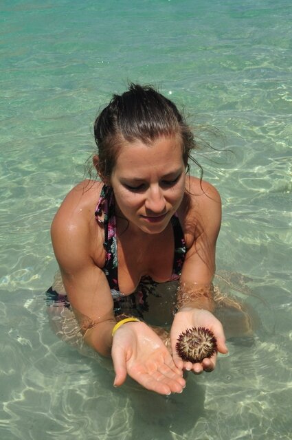 HoldingSeaUrchin