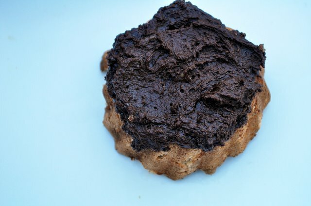 PaleoDonut2
