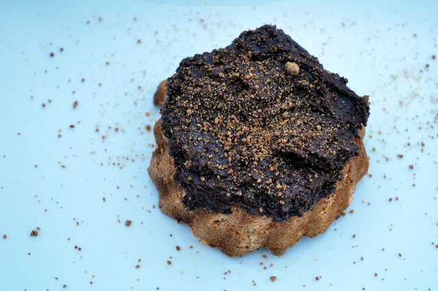 PaleoDonut4